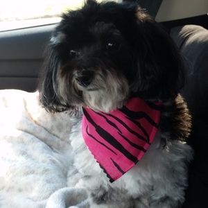 Meet your Posher, Martha